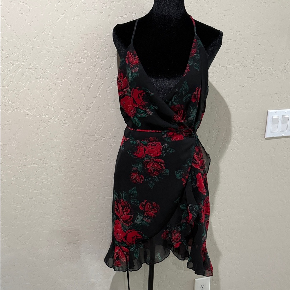Lovers + Friends Black and Red Floral Mini Dress